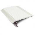 Product Genesis Vision - Matt Silver Tredsafe Light Down Stair Nosing 2.8m NALR50 (Choice Of Colour Insert)