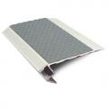 Genesis Vision - Matt Silver Tredsafe Light Down Stair Nosing 2.8m NALR50 (Choice Of Colour Insert)